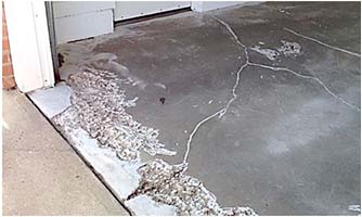 Garage Flooring Coating Floor Mats Park Edmonton